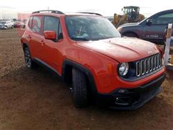 جيب رينيجيد